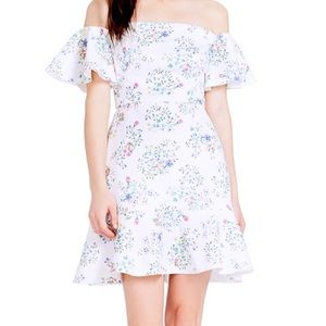 SALONI Amelia Dress in Wildflower